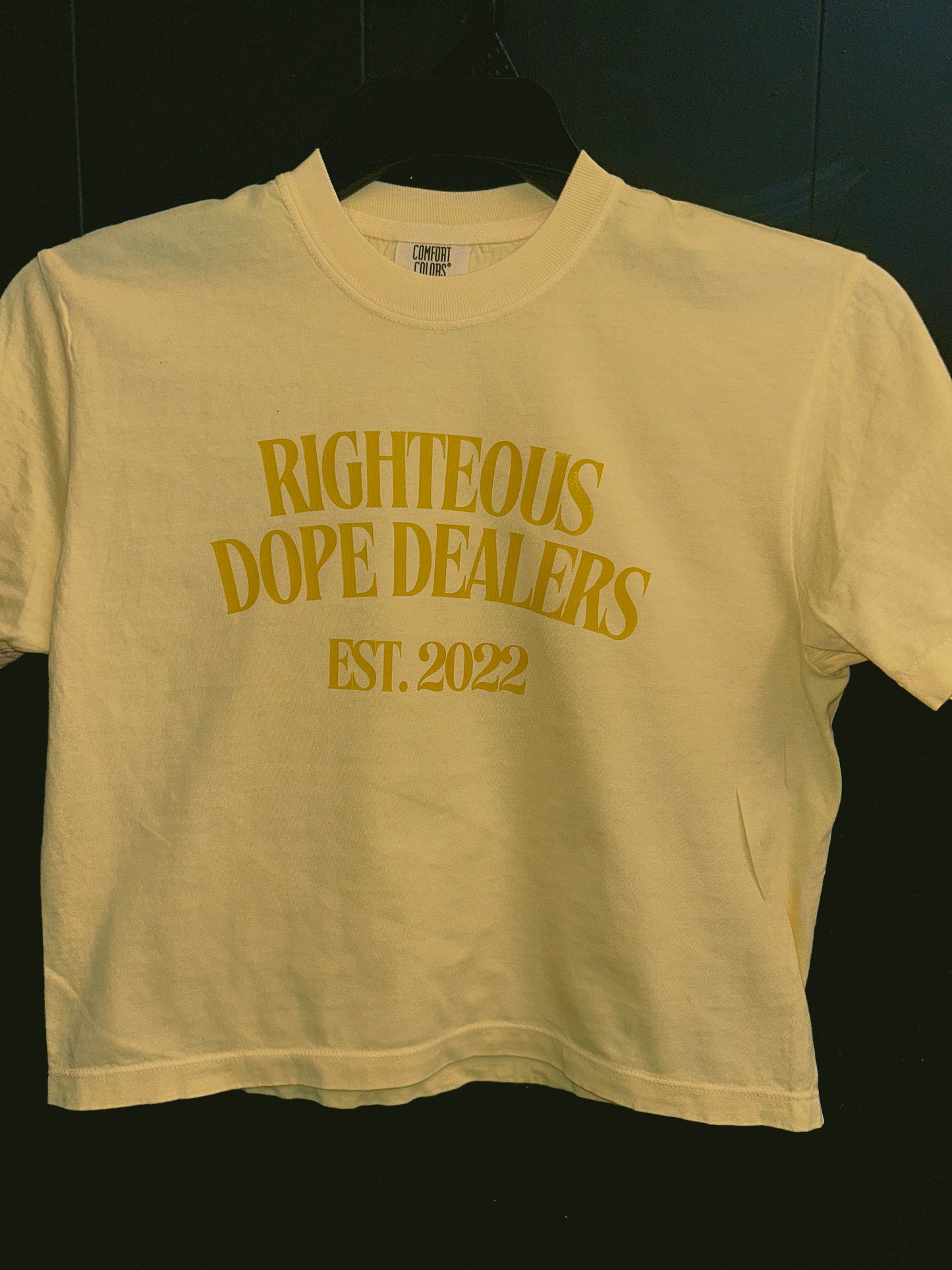 “SUN KISSED” CHOSEN COLLECTION” (WOMENS CROP TEE)